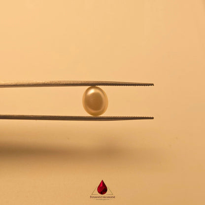 Natural Keshi Pearl 3.16 Carats Untreated AAA Quality The Mirror of the Sea