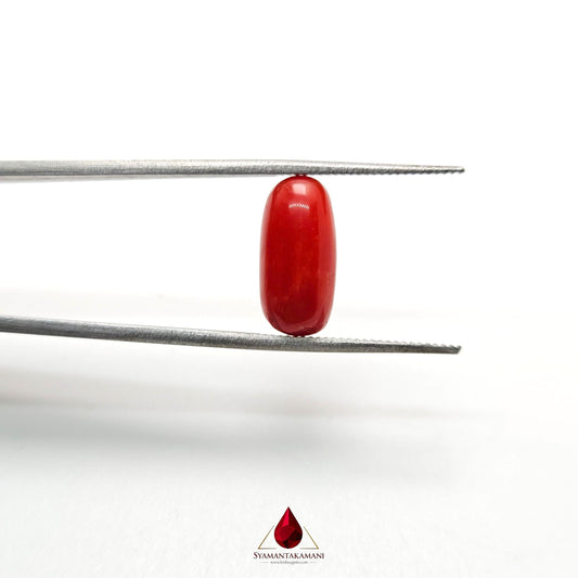 Natural Red Coral 3.83 Carat Untreated AA+ Quality From Italy