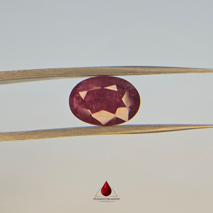 Ruby Oval 4.36 Carats Natural Untreated Ruby from Mozambique