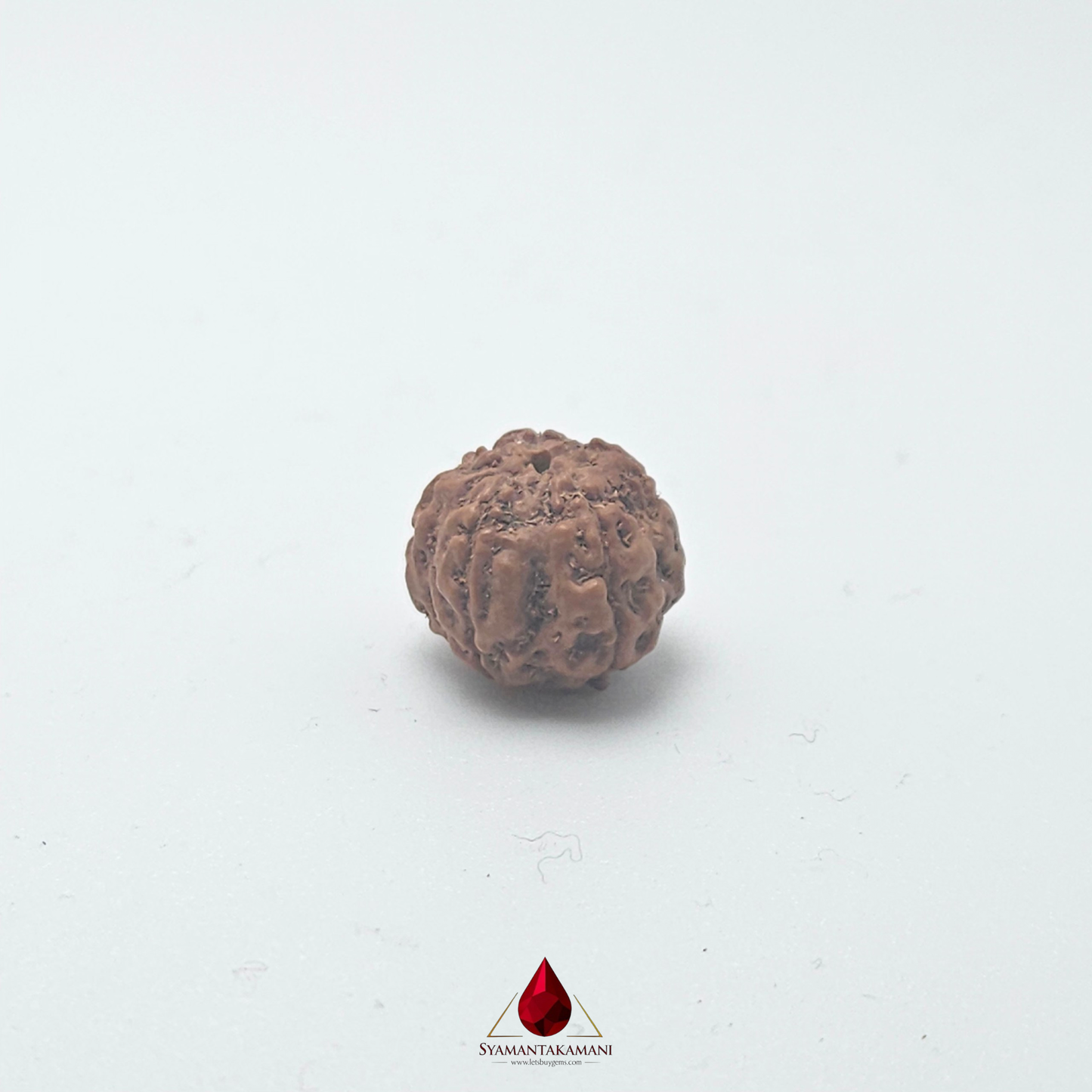 Natural Panchamukhi Rudraksha The Divine Shield
