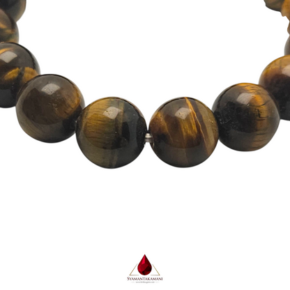 Natural Tiger's Eye 12mm Bracelet The Fierce Focus