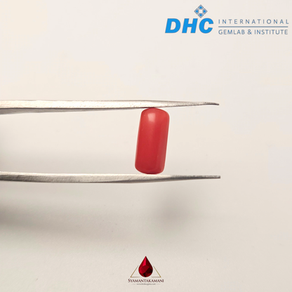 Natural Red Coral 2.45 Carat Untreated AA+ Quality From Italy The Mediterranean Flame Certified