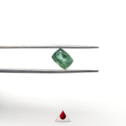 Natural Tourmaline (Green) From Brazil 1.69 Carat AA+ Quality Long Cushion Cut The Forest Verdelite