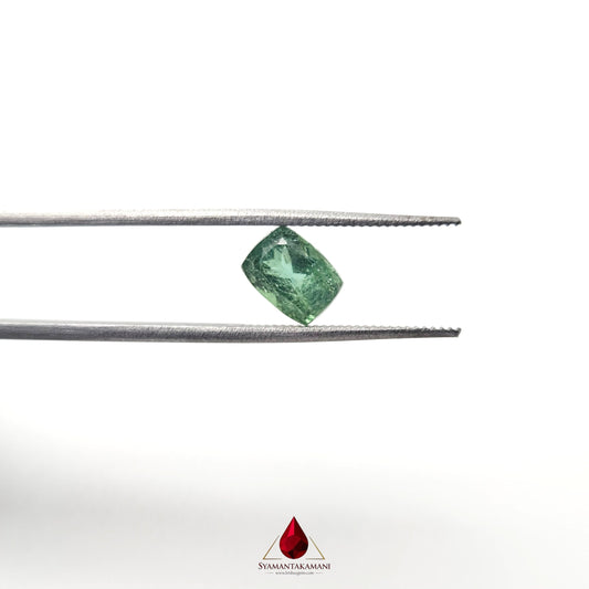 Natural Tourmaline (Green) From Brazil 1.69 Carat AA+ Quality Long Cushion Cut The Forest Verdelite