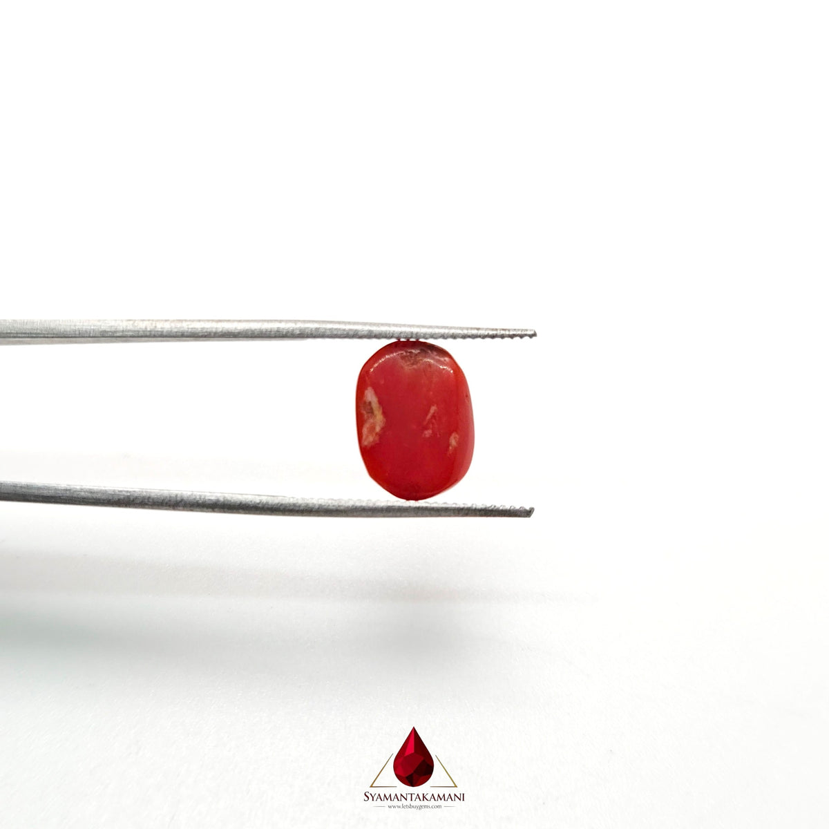 Natural Red Coral 3.51 Carat Untreated AA Quality From Italy
