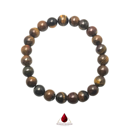 Natural Tiger's Eye 8mm Bracelet The Fierce Focus