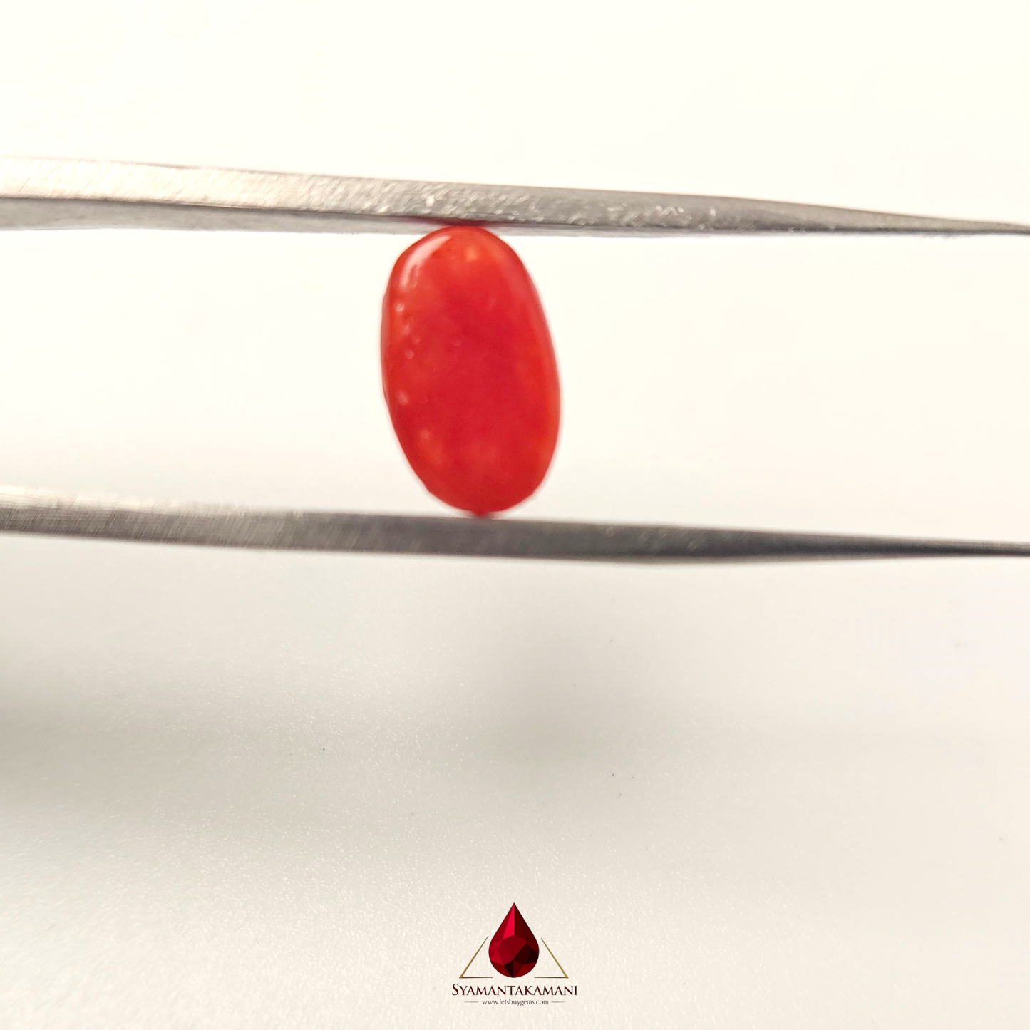 Natural Red Coral 2.05 Carat Untreated A+ Quality From Italy The Crimson Meridian