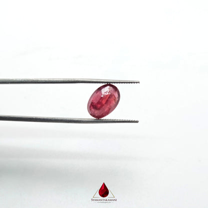 Natural Ruby 3.50 Carats Oval Mixed Cut AA+ Grade from Mozambique The Crimson Monarch