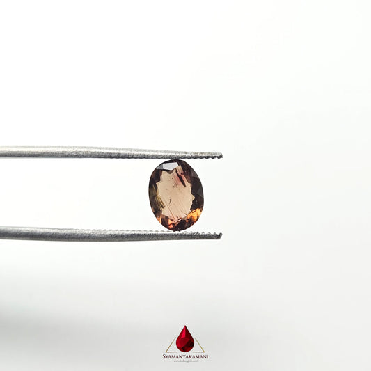 Natural Tourmaline (Brown) From Brazil 1.11 Carat AA Quality Oval Mix Cut The Earthy Sovereign