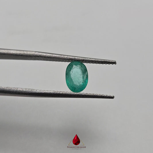 Natural Emerald 0.69 Carat From Zambia AAA Grade The Verdant Sovereign