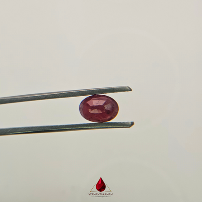 Natural Untreated Mozambique Ruby 1.80 Carats Oval Mix Cut