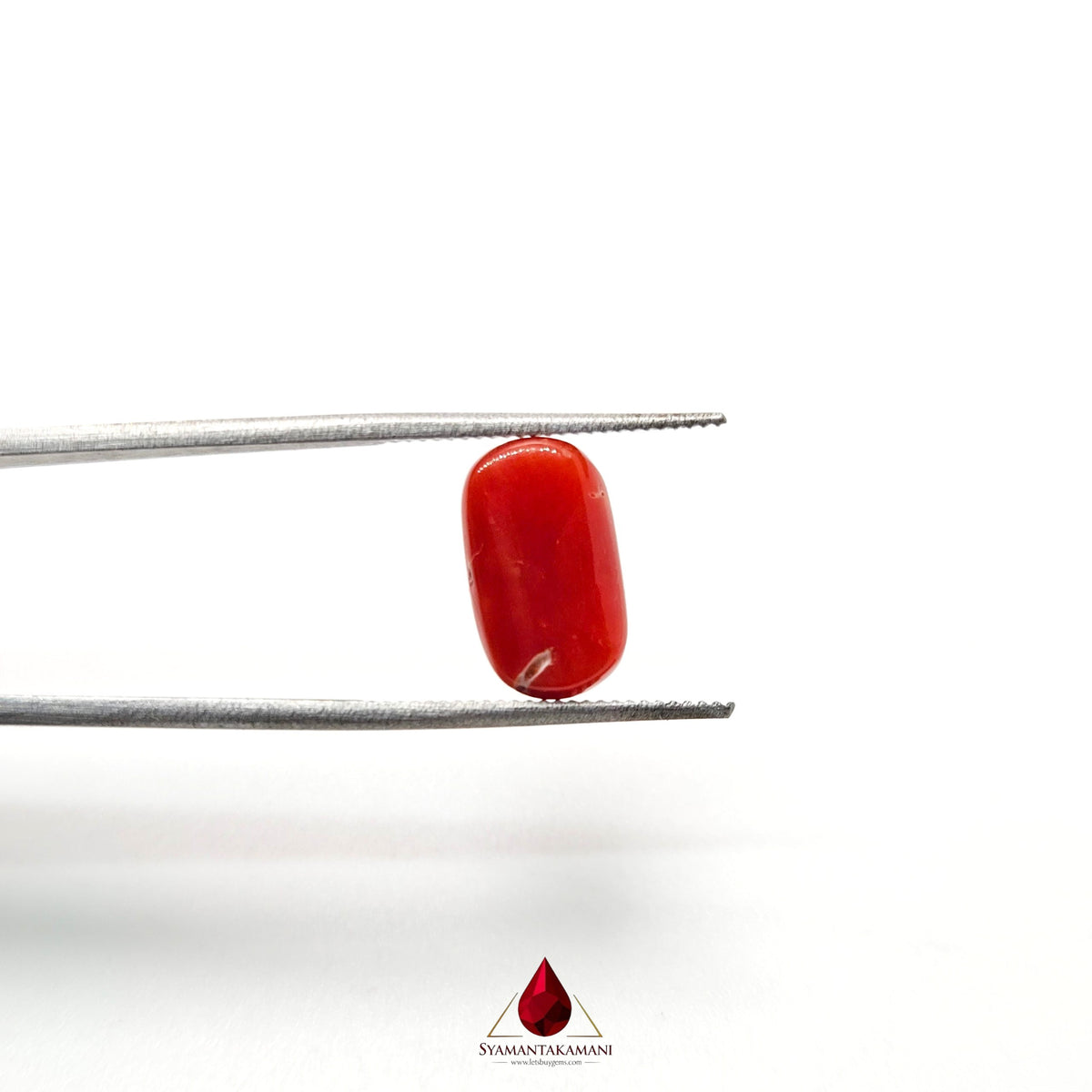 Natural Red Coral 3.82 Carat Untreated A Quality From Italy