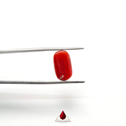 Natural Red Coral 3.82 Carat Untreated A Quality From Italy