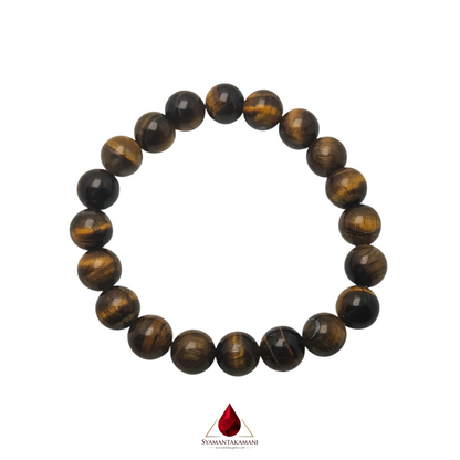 Natural Tiger's Eye 10mm Bracelet The Fierce Focus