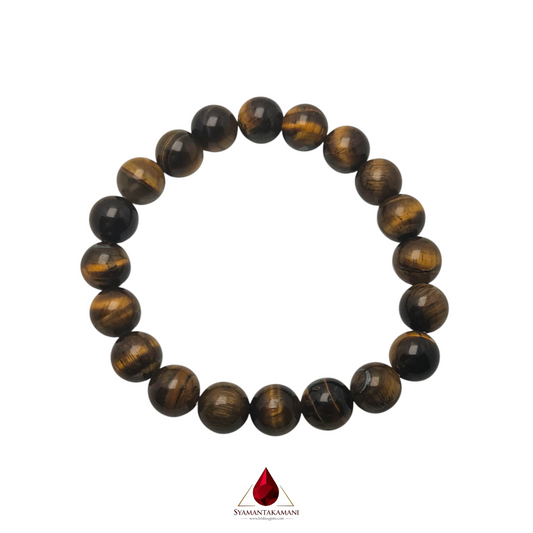 Natural Tiger's Eye 10mm Bracelet The Fierce Focus