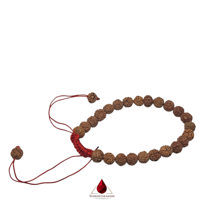 Adjustable Rudraksha Bracelet Cultivated Spiritual Focus