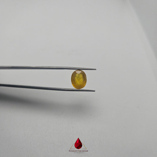 Yellow Sapphire 2.90 Carats HEATED from Sri Lanka Oval