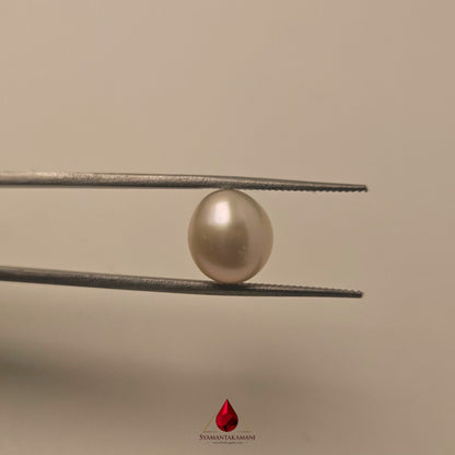 Natural Keshi Pearl 4.08 Carats Untreated AA Quality The Ethereal Sculpt