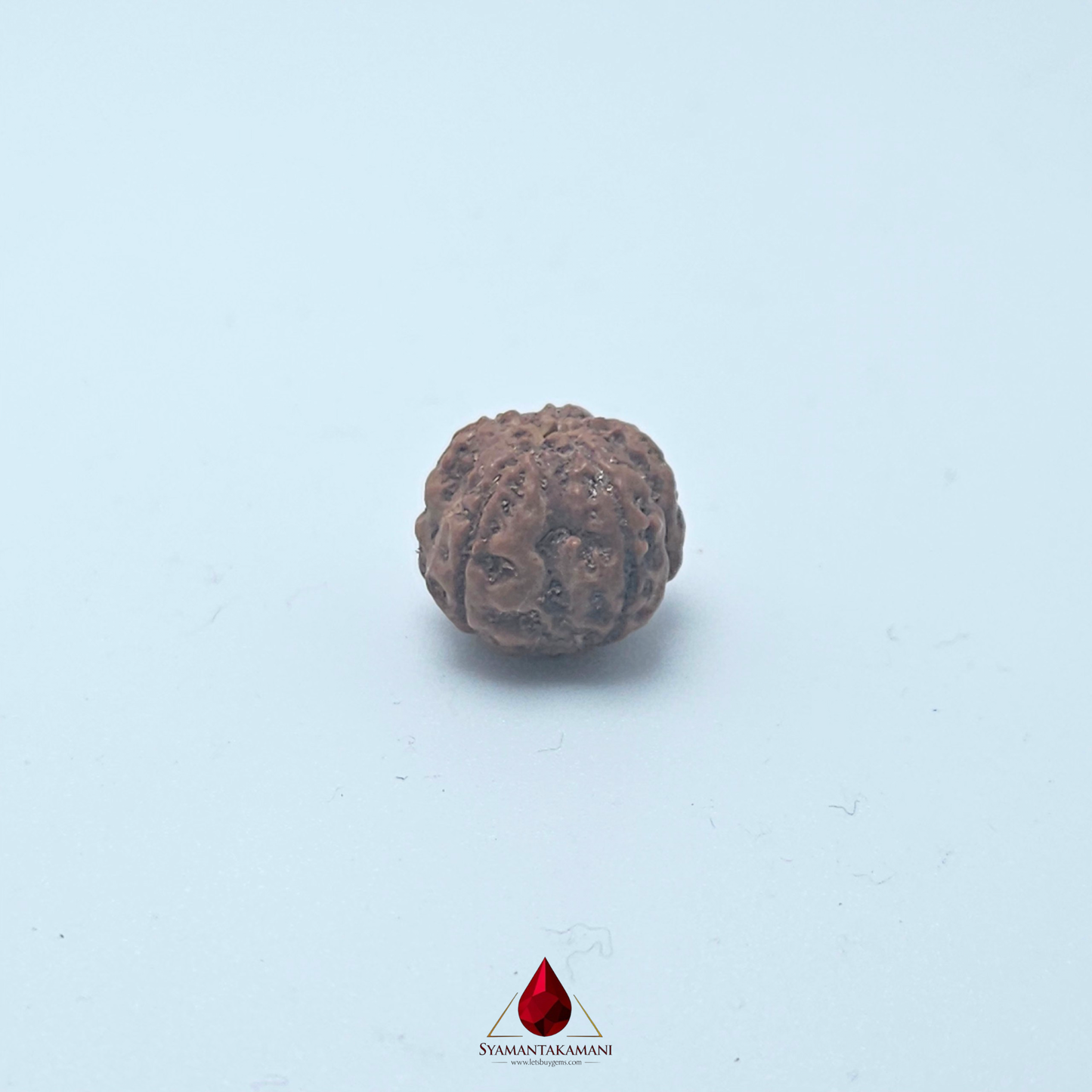 Natural Panchamukhi Rudraksha The Divine Shield
