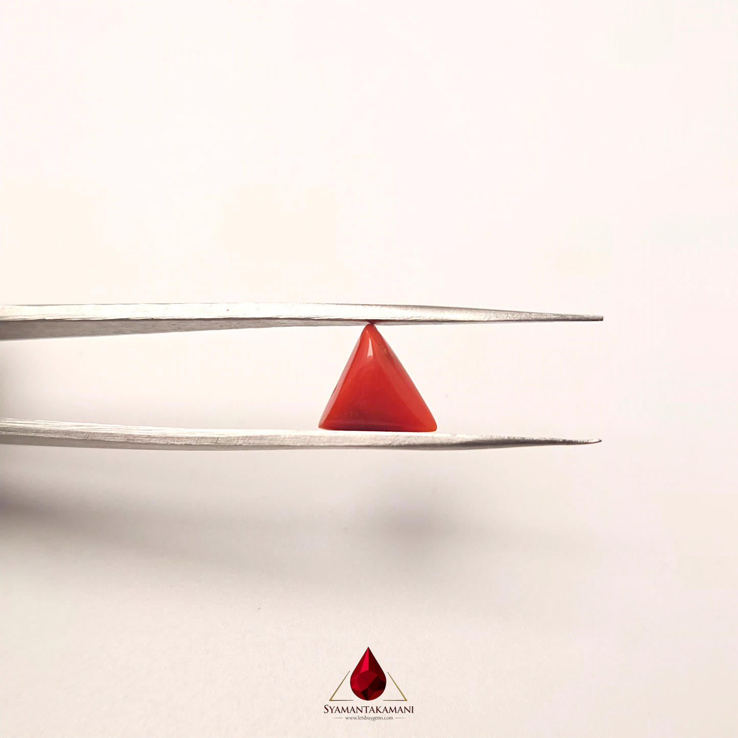 Natural Red Coral 3.30 Carat Untreated AAA Quality From Italy The Mediterranean Trident