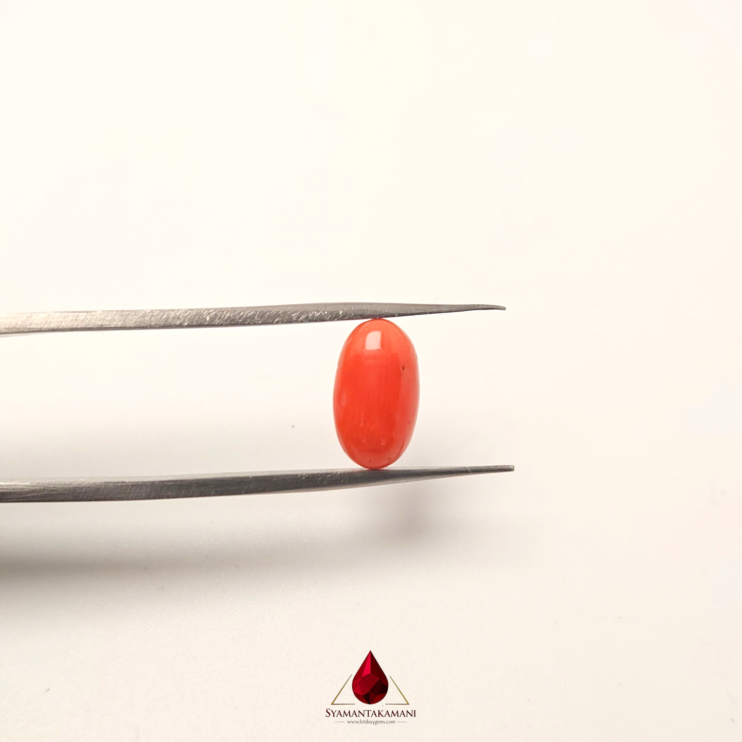 Natural Red Coral 3.10 Carat Untreated A+ Quality From Italy The Vermillion Vessel