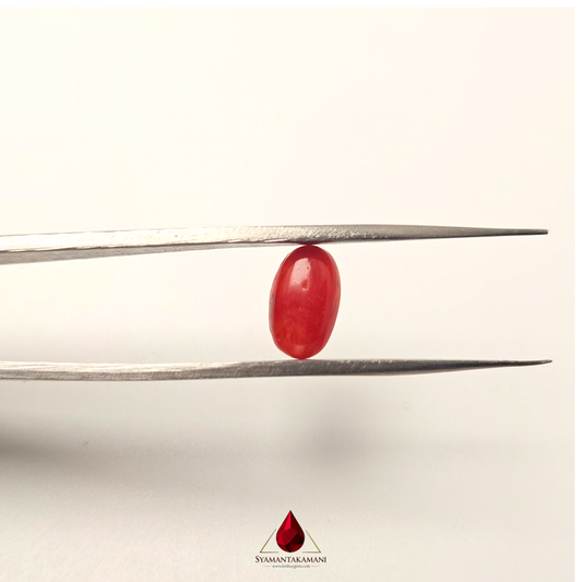 Natural Red Coral 2.05 Carat Untreated A+ Quality From Italy The Crimson Meridian