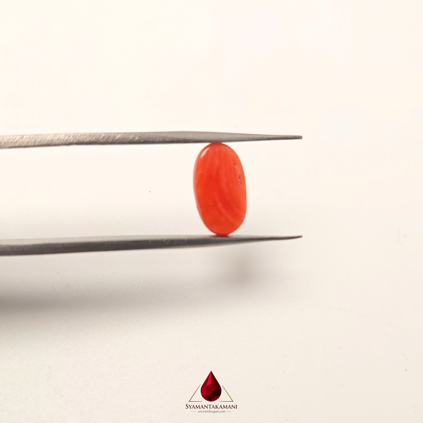 Natural Red Coral 3.10 Carat Untreated A+ Quality From Italy The Vermillion Vessel