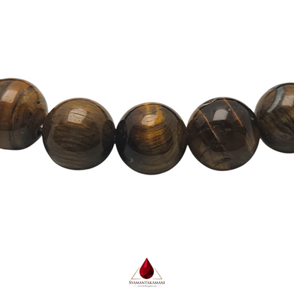 Natural Tiger's Eye 10mm Bracelet The Fierce Focus