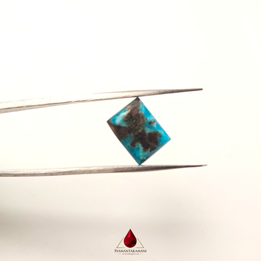 Persian Turquoise (Irani Firoza, Fyroos) 8.25 Carats Rectangle