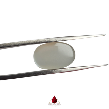 Moonstone 7.90 carats Natural Untreated The Moonlight Glow