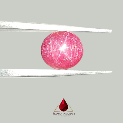 Star Ruby Round 3.50 Carats (6 Ray Asterism)