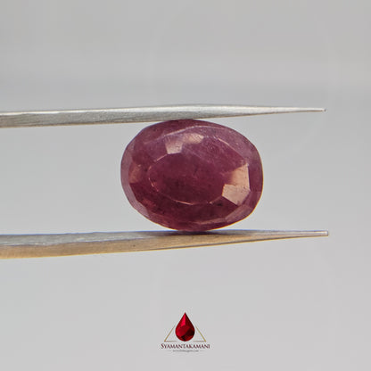 Ruby Oval 12.15 Carats Natural Untreated Ruby from Karnataka The Heritage Gem