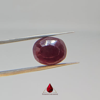 Ruby Oval 13.65 Carats Natural Untreated Ruby from Karnataka The Heritage Gem